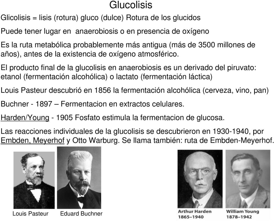 El producto final de la glucolisis en anaerobiosis es un derivado del piruvato: etanol (fermentación alcohólica) o lactato (fermentación láctica) Louis Pasteur descubrió en 1856 la fermentación