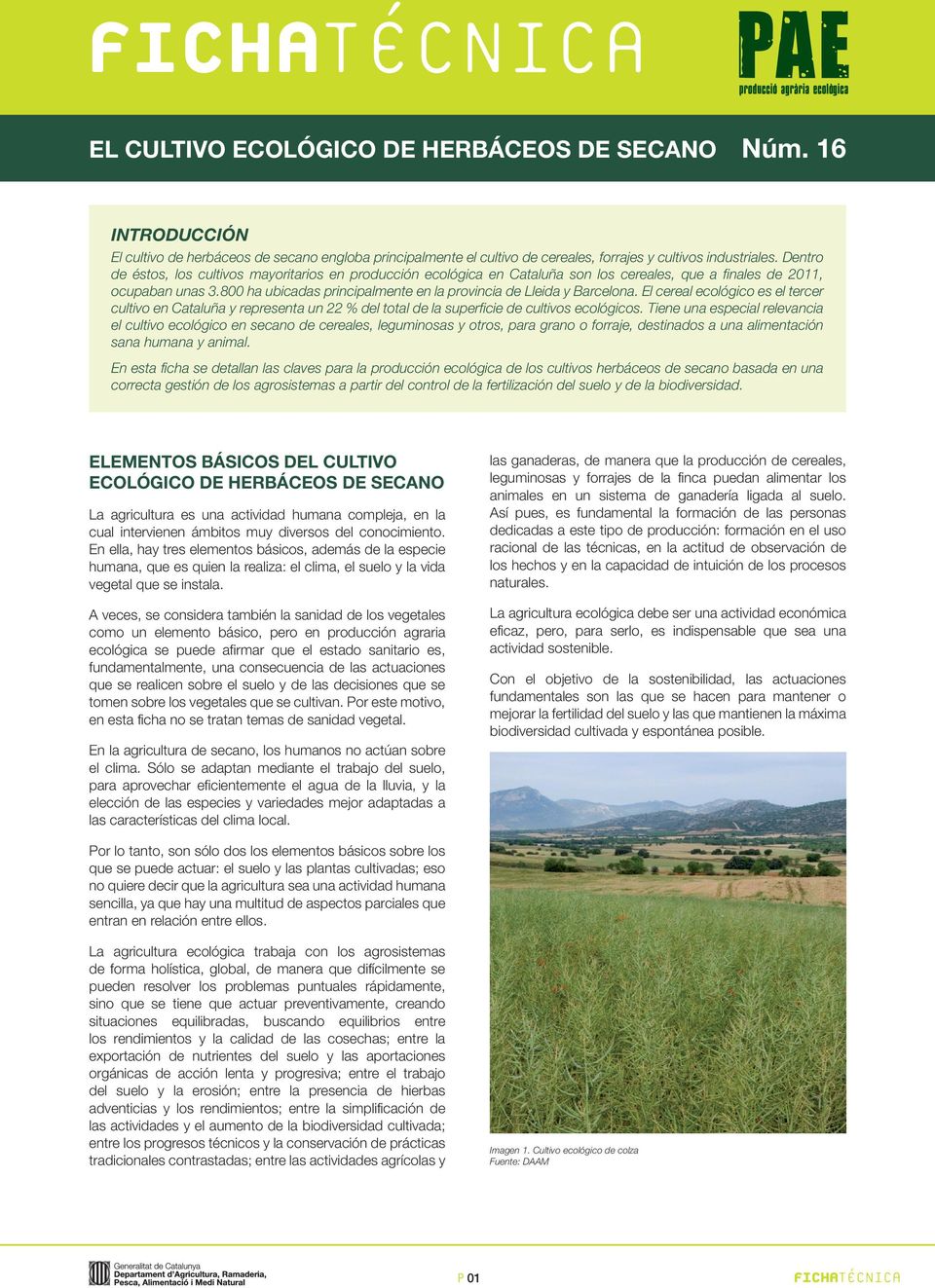 800 ha ubicadas principalmente en la provincia de Lleida y Barcelona. El cereal ecológico es el tercer cultivo en Cataluña y representa un 22 % del total de la superficie de cultivos ecológicos.