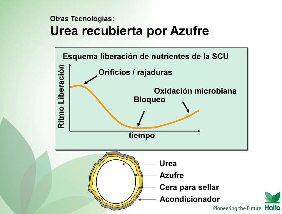 SCU Orificios / rajaduras Oxidación microbiana