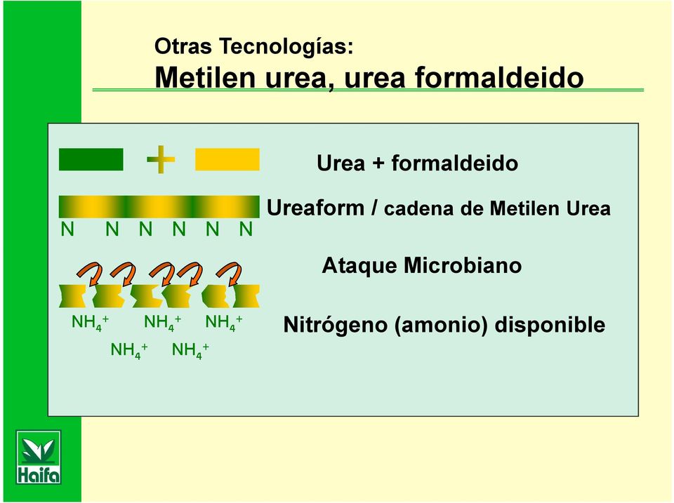 Metilen Urea Ataque Microbiano NH NH 4 + NH NH 4 +