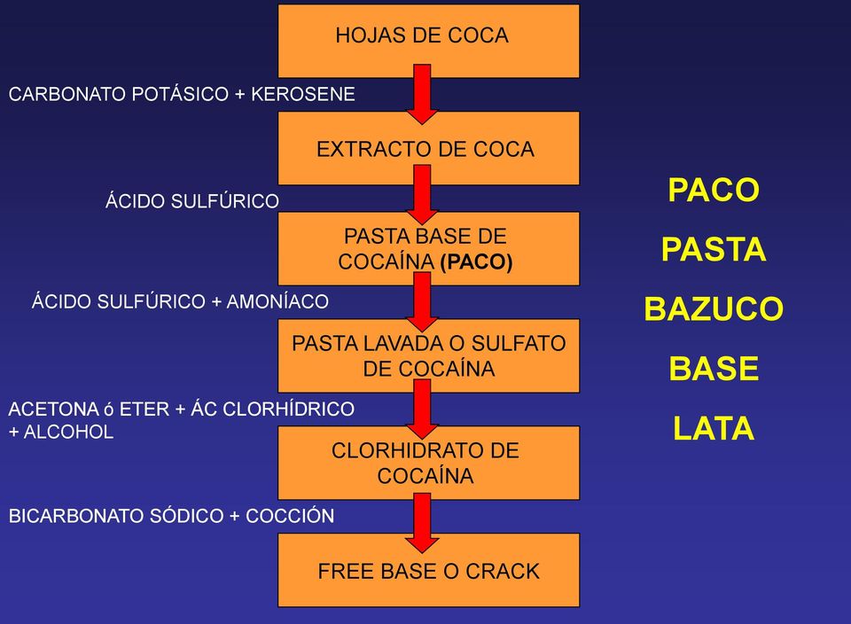 BASE DE COCAÍNA (PACO) PASTA LAVADA O SULFATO DE COCAÍNA CLORHIDRATO DE