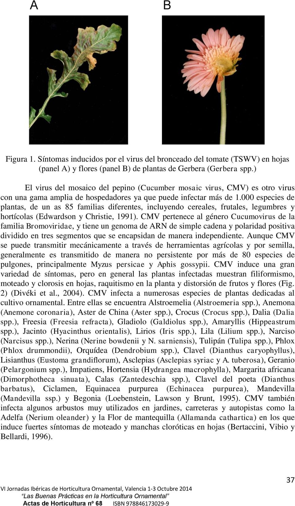 000 especies de plantas, de un as 85 familias diferentes, incluyendo cereales, frutales, legumbres y hortícolas (Edwardson y Christie, 1991).