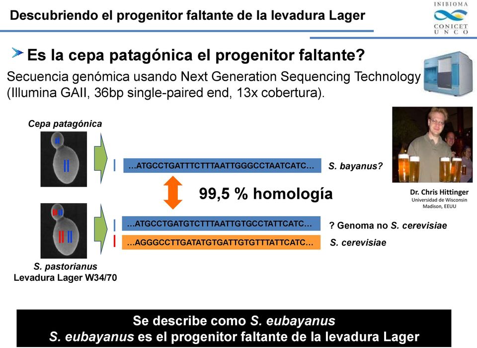 Cepa patagónica ATGCCTGATTTCTTTAATTGGGCCTAATCATC S. bayanus? 99,5 % homología Dr.