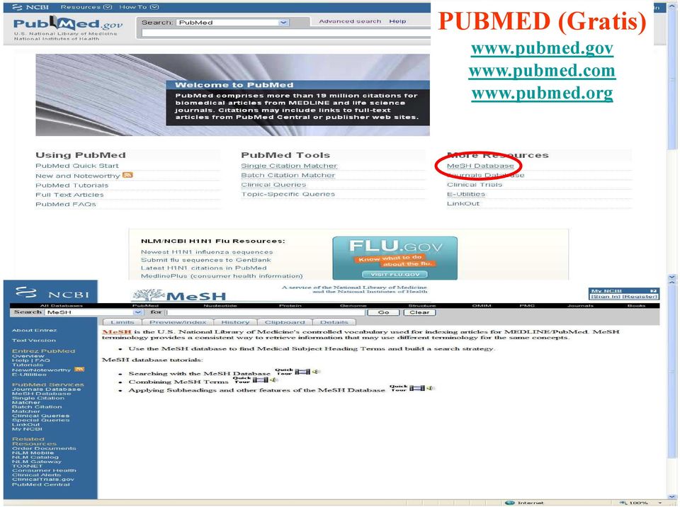 pubmed.gov www.
