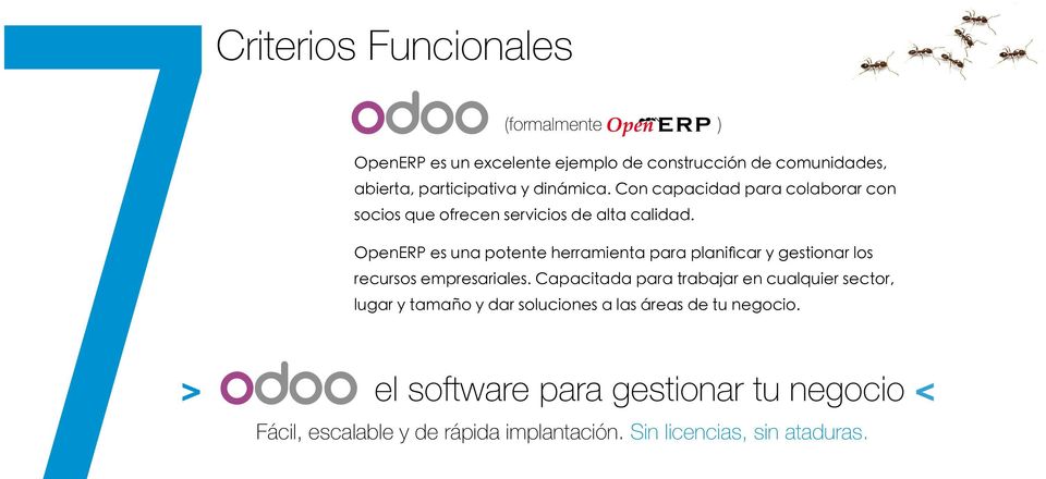 OpenERP es una potente herramienta para planificar y gestionar los recursos empresariales.