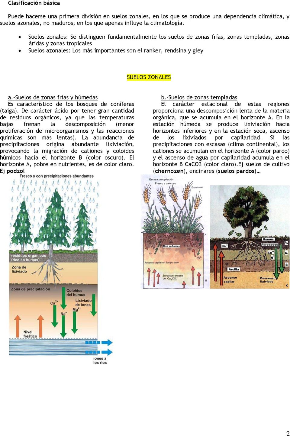 ZONALES a.-suelos de zonas frías y húmedas Es característico de los bosques de coníferas (taiga).