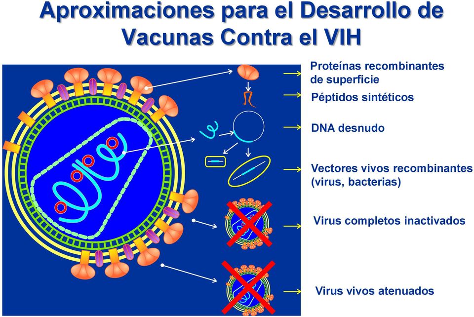 sintéticos DNA desnudo Vectores vivos recombinantes