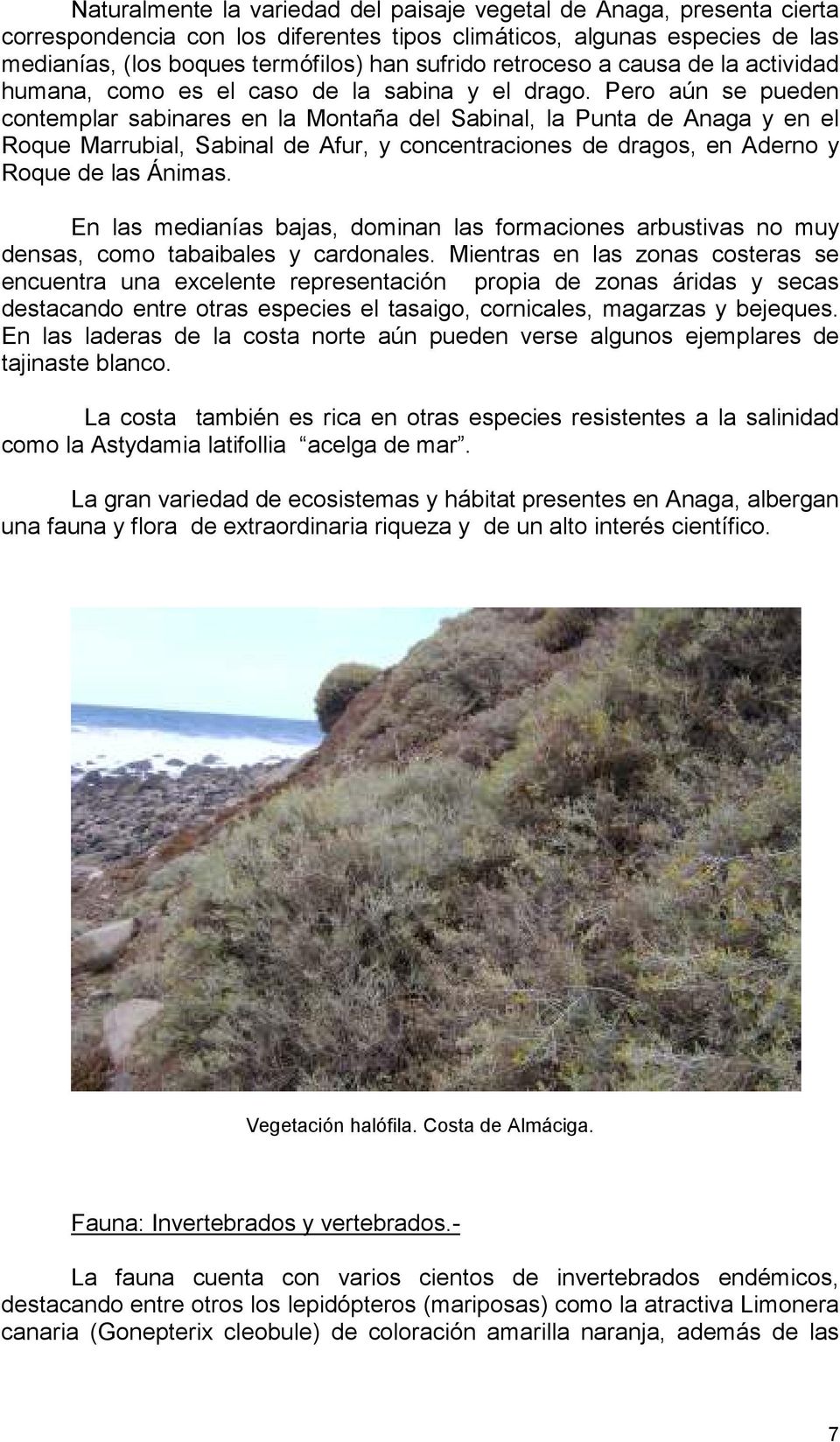 Pero aún se pueden contemplar sabinares en la Montaña del Sabinal, la Punta de Anaga y en el Roque Marrubial, Sabinal de Afur, y concentraciones de dragos, en Aderno y Roque de las Ánimas.