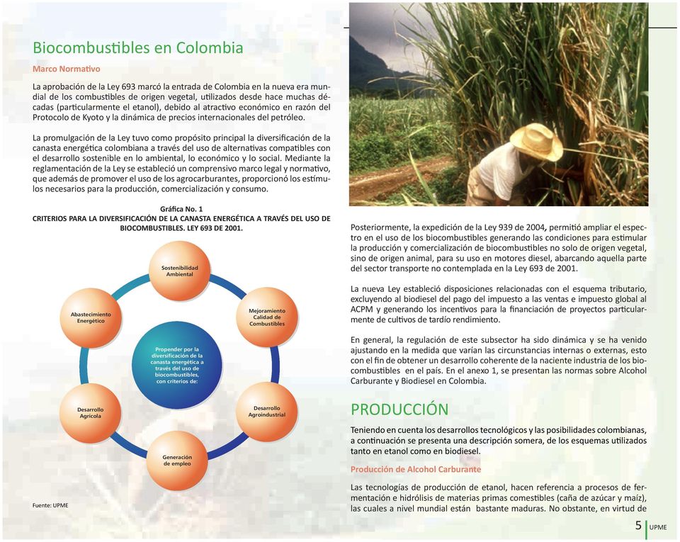 La promulgación de la Ley tuvo como propósito principal la diversificación de la canasta energética colombiana a través del uso de alternativas compatibles con el desarrollo sostenible en lo