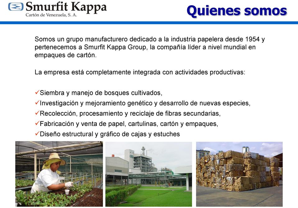 La empresa está completamente integrada con actividades productivas: Siembra y manejo de bosques cultivados, Investigación y