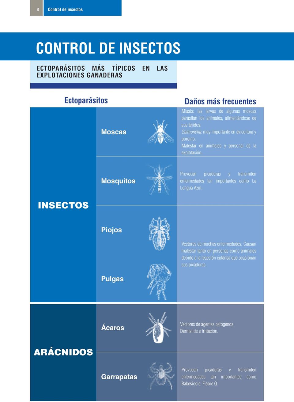 Mosquitos Provocan picaduras y transmiten enfermedades tan importantes como La Lengua Azul. INSECTOS Piojos Vectores de muchas enfermedades.