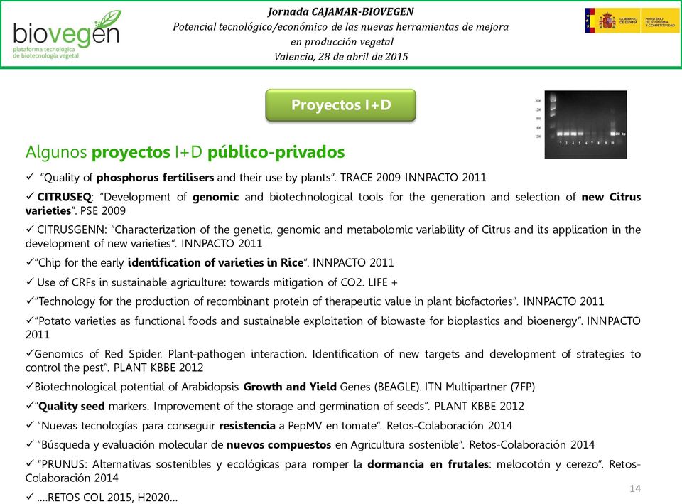PSE 2009 CITRUSGENN: Characterization of the genetic, genomic and metabolomic variability of Citrus and its application in the development of new varieties.