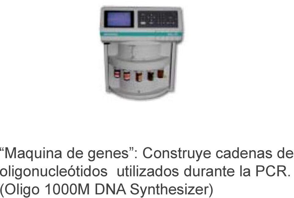 utilizados durante la PCR.