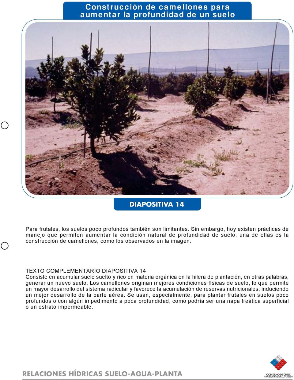 TEXTO COMPLEMENTARIO DIAPOSITIVA 14 Consiste en acumular suelo suelto y rico en materia orgánica en la hilera de plantación, en otras palabras, generar un nuevo suelo.