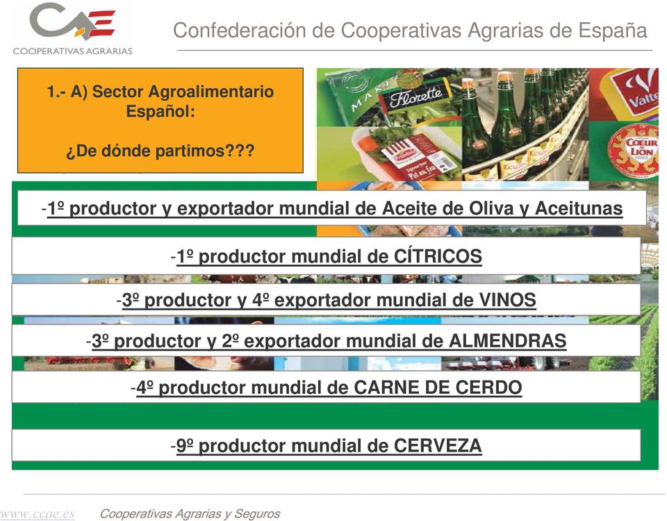 mundial de CÍTRICOS -3º productor y 4º exportador mundial de VINOS -3º productor y