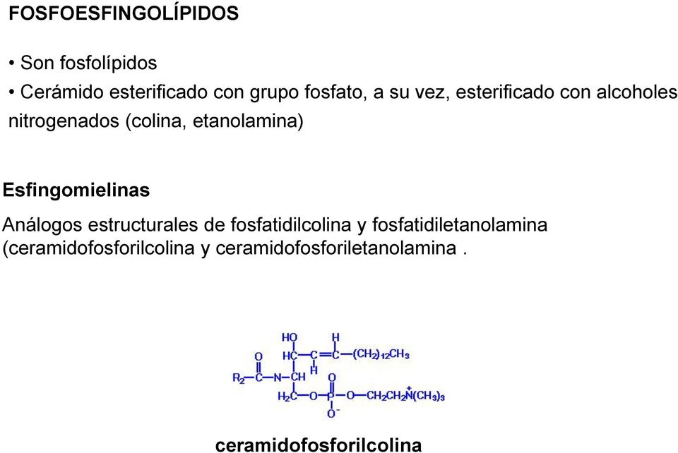 Esfingomielinas Análogos estructurales de fosfatidilcolina y