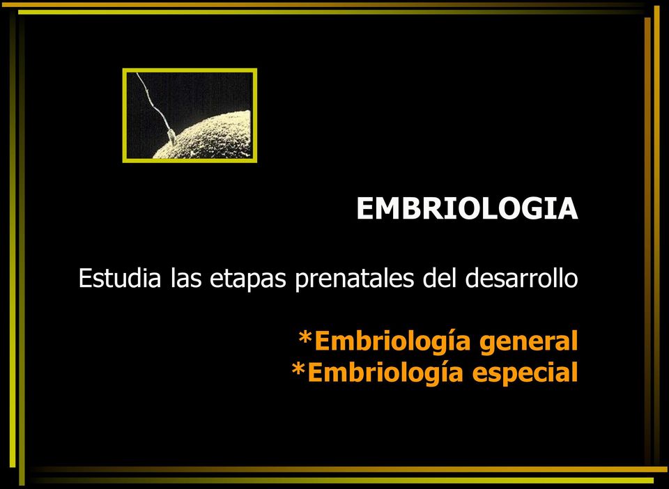 desarrollo *Embriología
