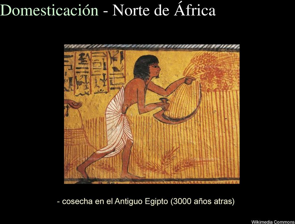 Antiguo Egipto (3000