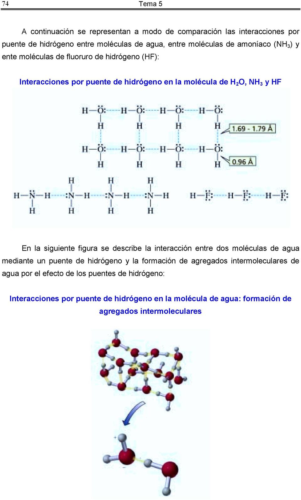 siguiente figura se describe la interacción entre dos moléculas de agua mediante un puente de hidrógeno y la formación de agregados