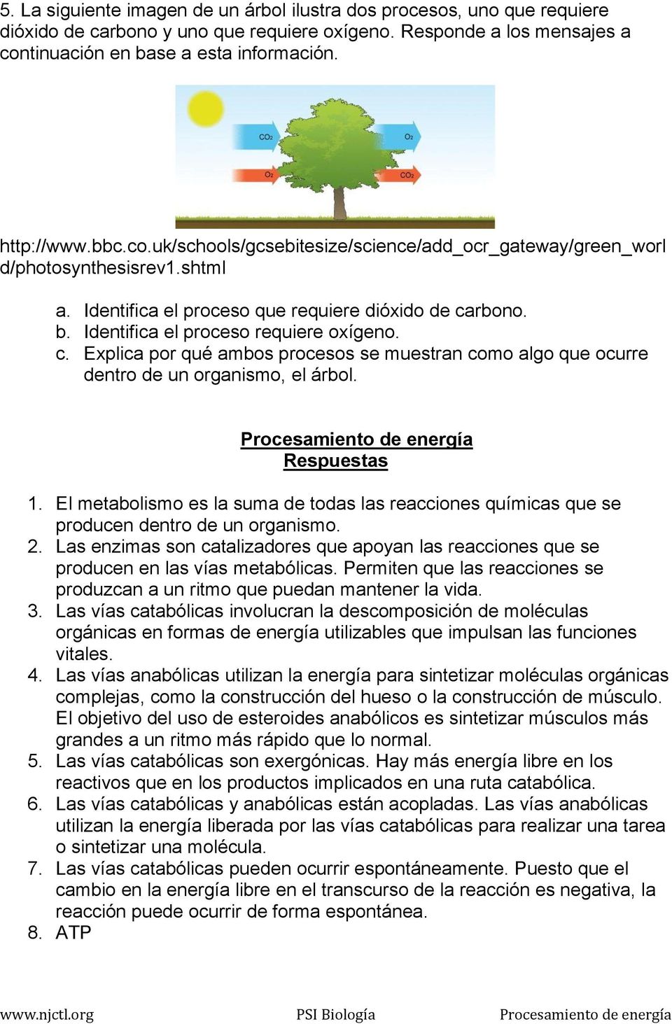rbono. b. Identifica el proceso requiere oxígeno. c. Explica por qué ambos procesos se muestran como algo que ocurre dentro de un organismo, el árbol. Procesamiento de energía Respuestas 1.