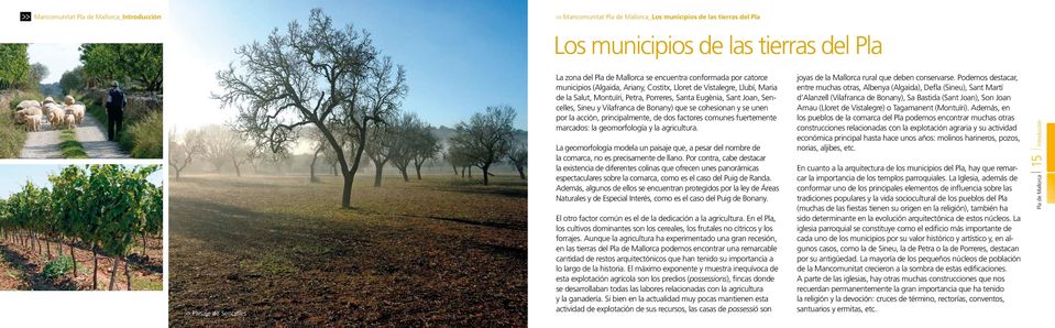 Sineu y Vilafranca de Bonany) que se cohesionan y se unen por la acción, principalmente, de dos factores comunes fuertemente marcados: la geomorfología y la agricultura.