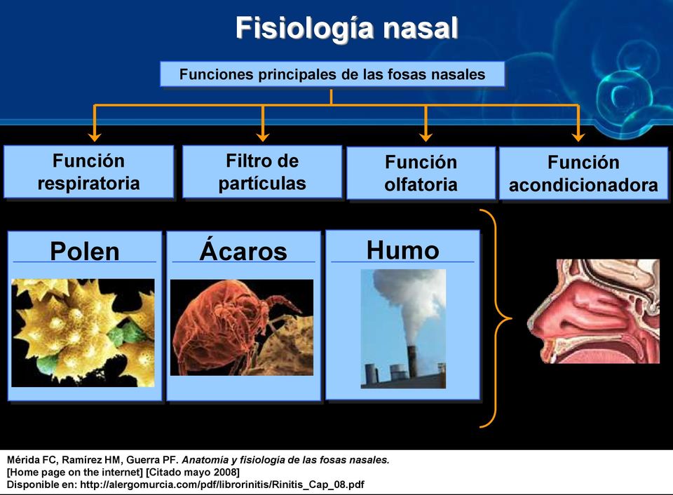 HM, Guerra PF. Anatomía y fisiología de las fosas nasales.