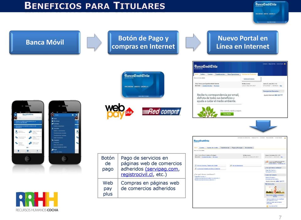 servicios en páginas web de comercios adheridos (servipag.