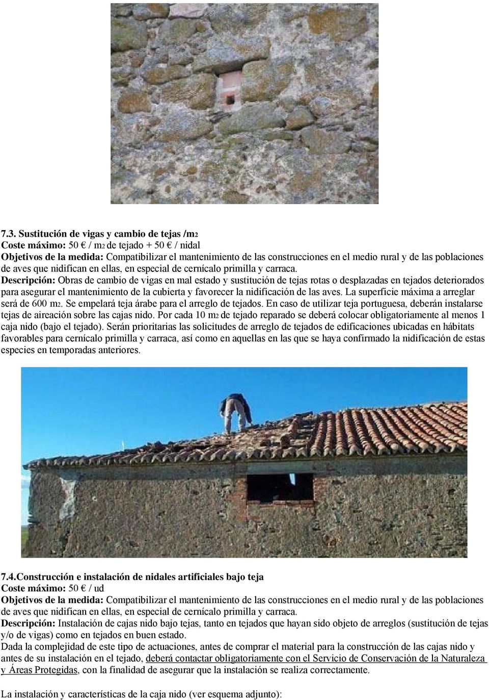 En caso de utilizar teja portuguesa, deberán instalarse tejas de aireación sobre las cajas nido.