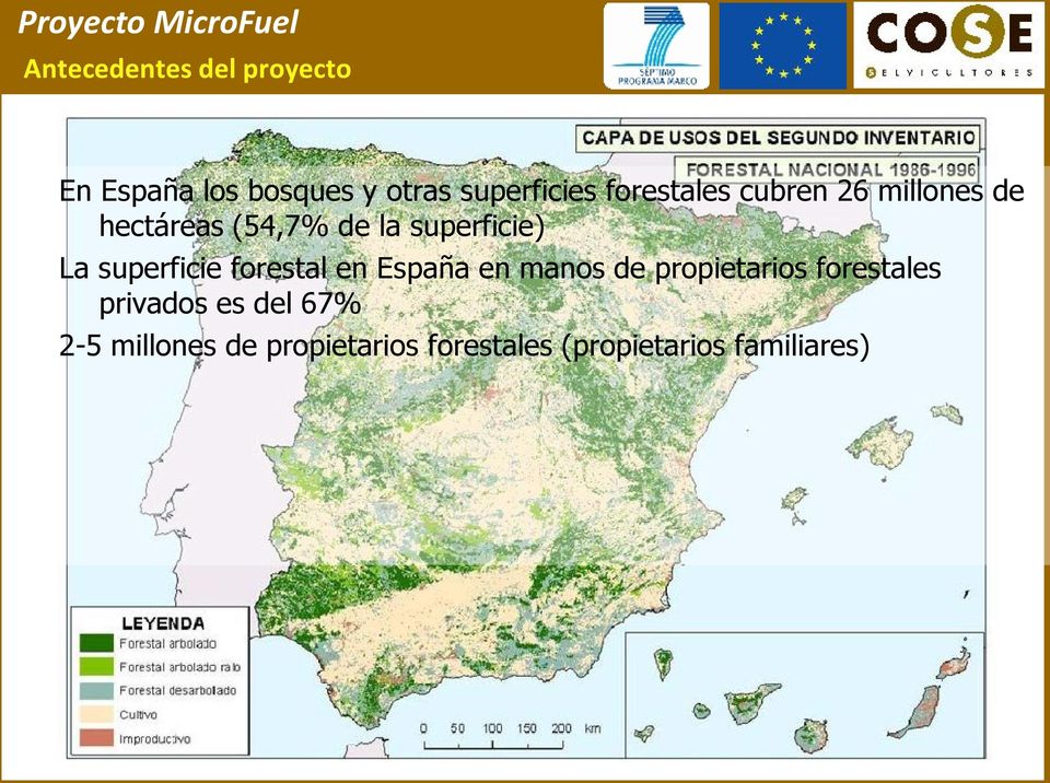 superficie forestal en España en manos de propietarios forestales