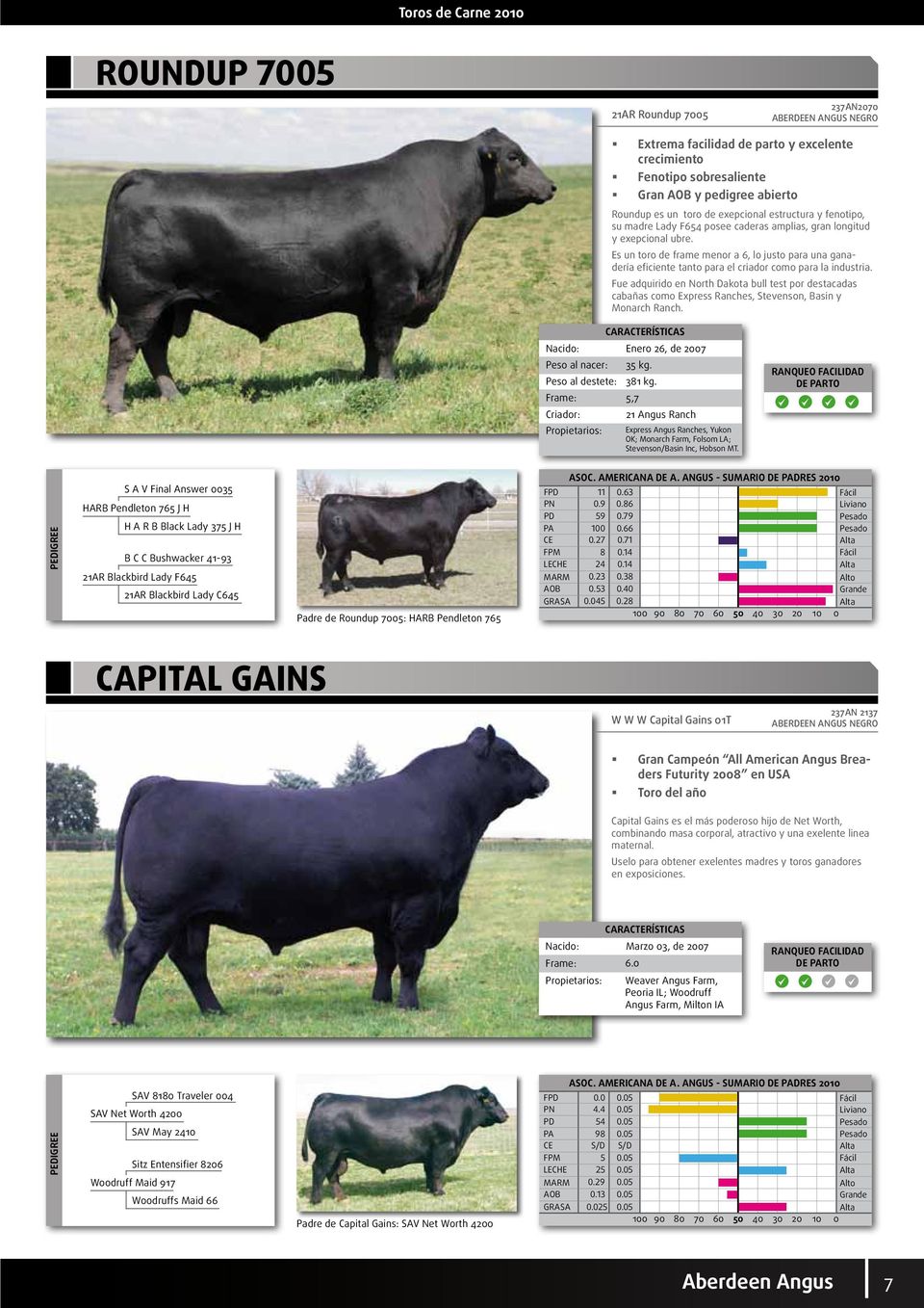 Es un toro de frame menor a 6, lo justo para una ganadería eficiente tanto para el criador como para la industria.