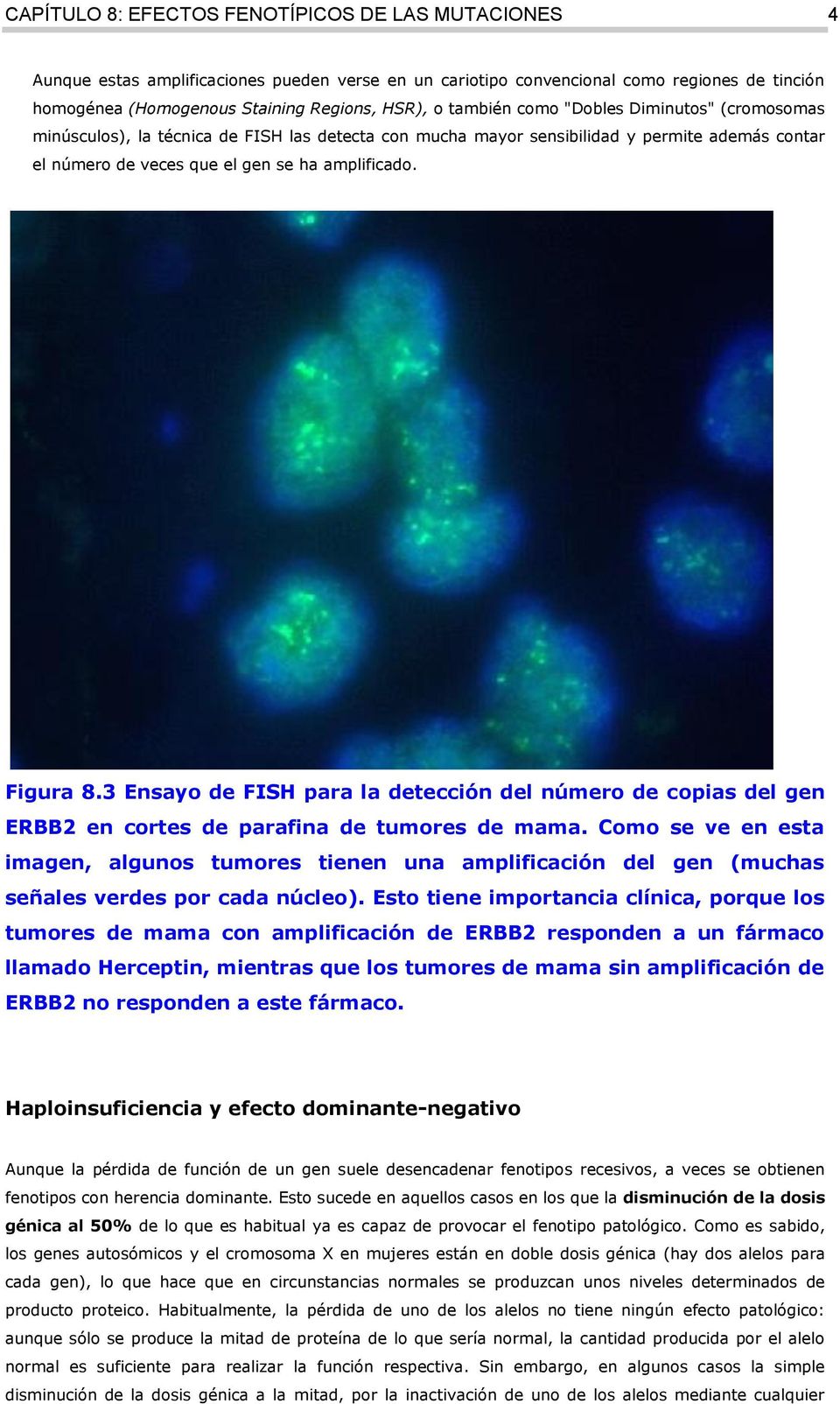 3 Ensayo de FISH para la detección del número de copias del gen ERBB2 en cortes de parafina de tumores de mama.