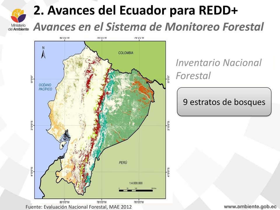 Evaluación Nacional Forestal, MAE 2012