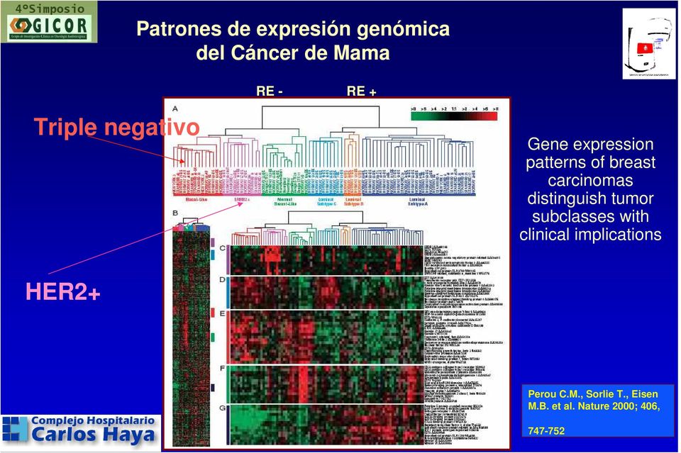 distinguish tumor subclasses with clinical implications HER2+