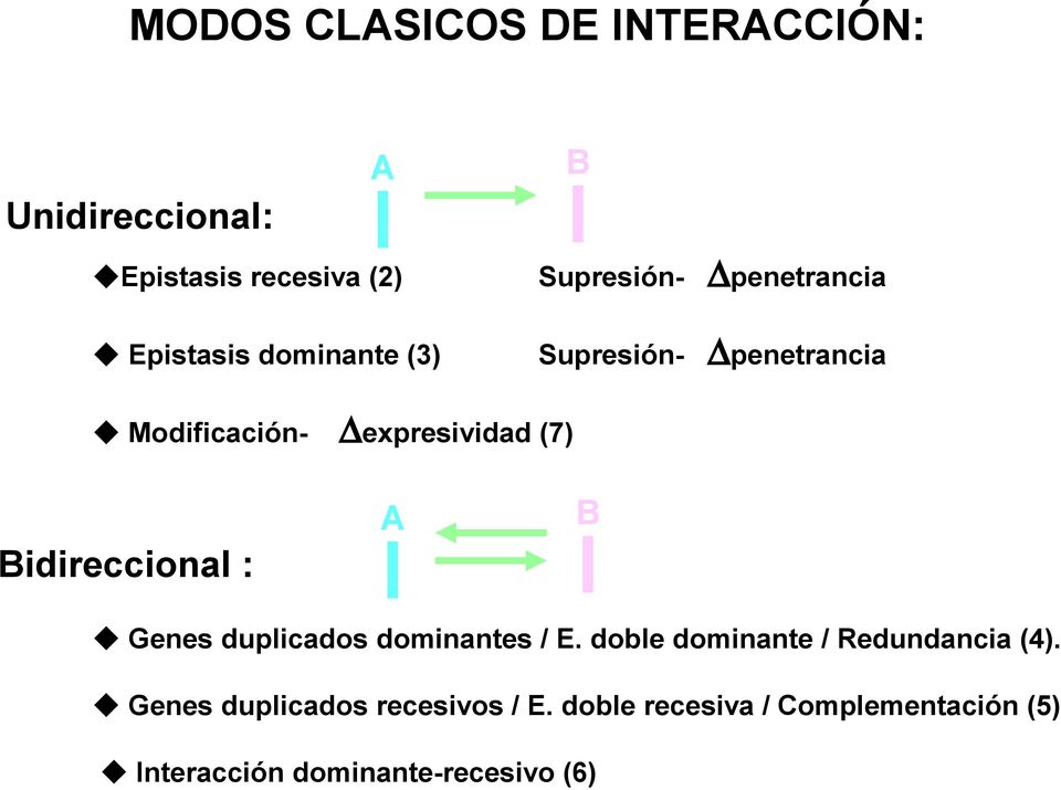 B Bidireccional : Genes duplicados dominantes / E. doble dominante / Redundancia (4).