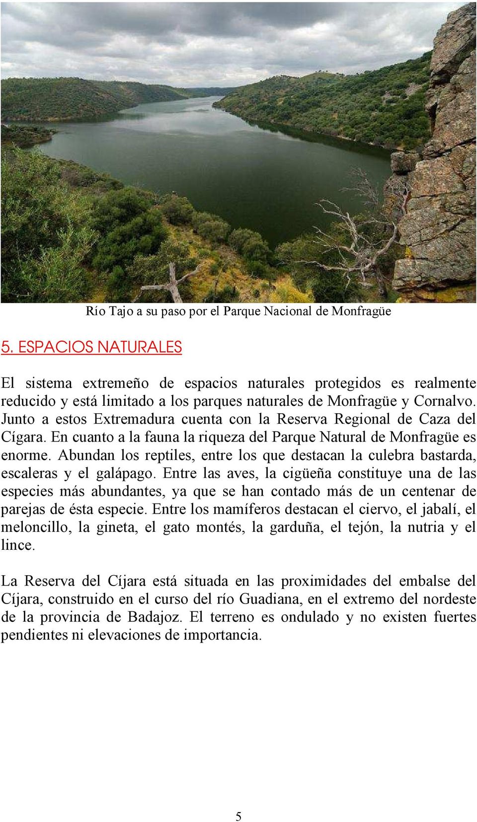 Junto a estos Extremadura cuenta con la Reserva Regional de Caza del Cígara. En cuanto a la fauna la riqueza del Parque Natural de Monfragüe es enorme.
