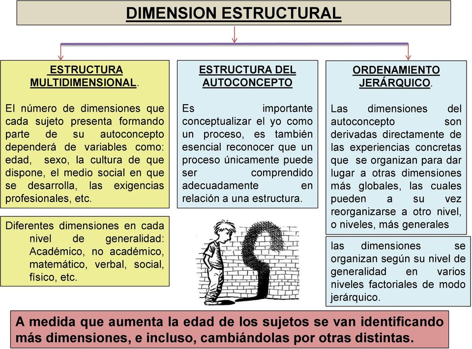 exigencias profesionales, etc. Diferentes dimensiones en cada nivel de generalidad: Académico, no académico, matemático, verbal, social, físico, etc.