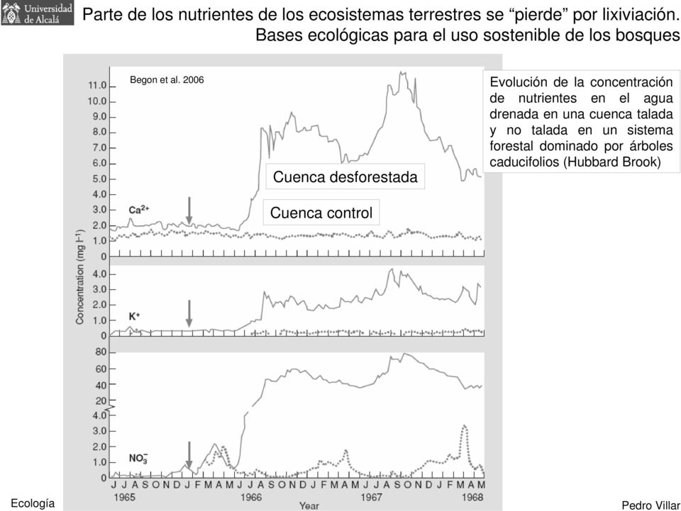 2006 Cuenca desforestada Cuenca control Evolución de la concentración de nutrientes en el