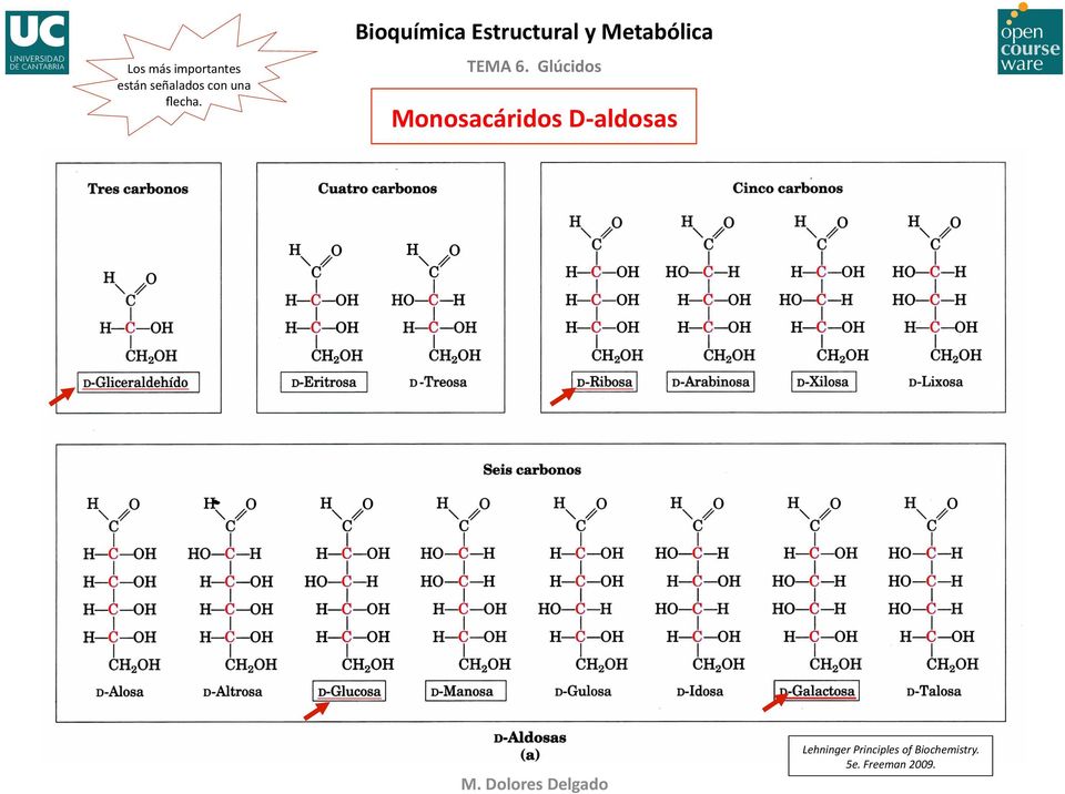 Bioquímica Estructural y Metabólica