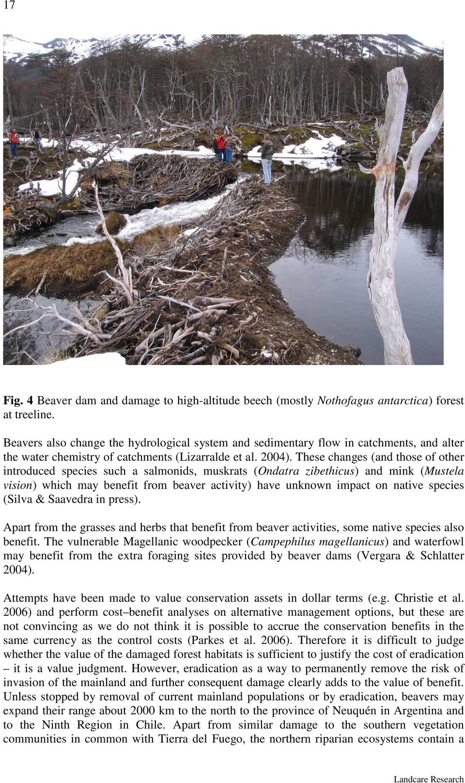 These changes (and those of other introduced species such a salmonids, muskrats (Ondatra zibethicus) and mink (Mustela vision) which may benefit from beaver activity) have unknown impact on native