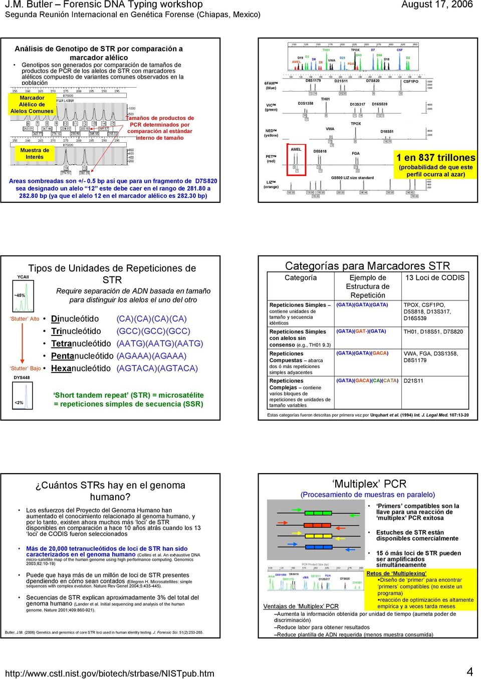 Tamaños de productos de PCR determinados por comparación al estándar interno de tamaño VIC (green) NED (yellow) D3S1358 D19S433 TH01 VWA D13S317 TPOX D16S539 D18S51 D2S1338 Muestra de Interés Areas