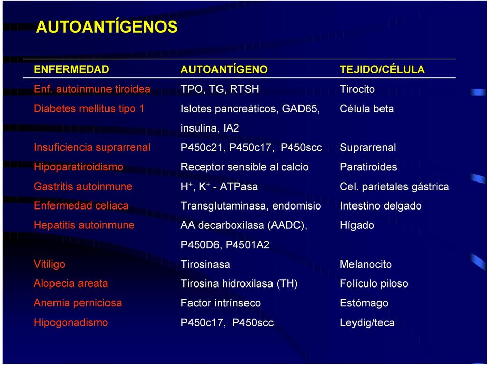areata Anemia perniciosa Hipogonadismo AUTOANTÍGENO TPO, TG, RTSH Islotes pancreáticos, GAD65, insulina, IA2 P450c21, P450c17, P450scc Receptor sensible al calcio H +, K