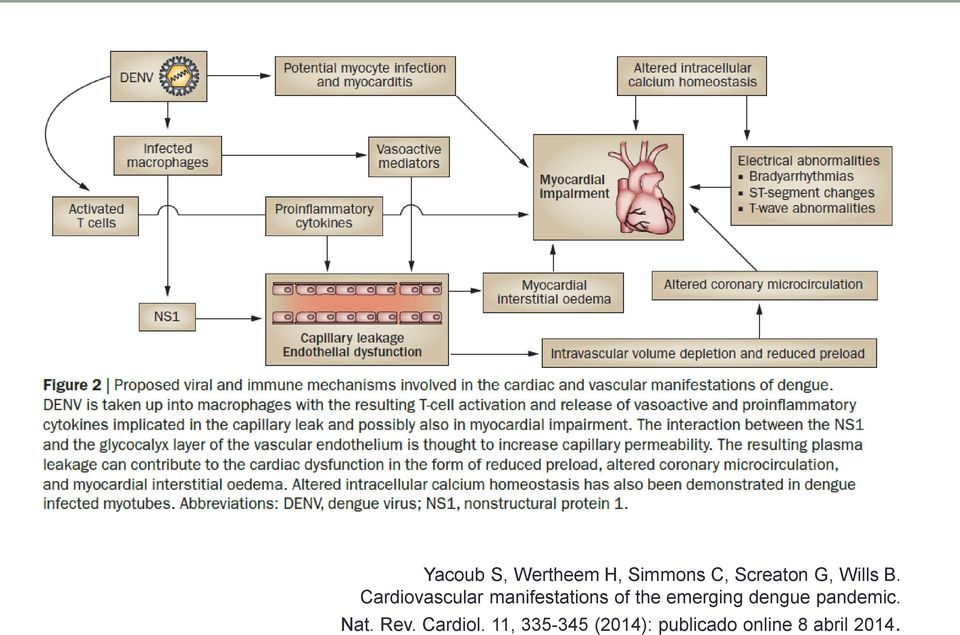 Cardiovascular manifestations of the emerging