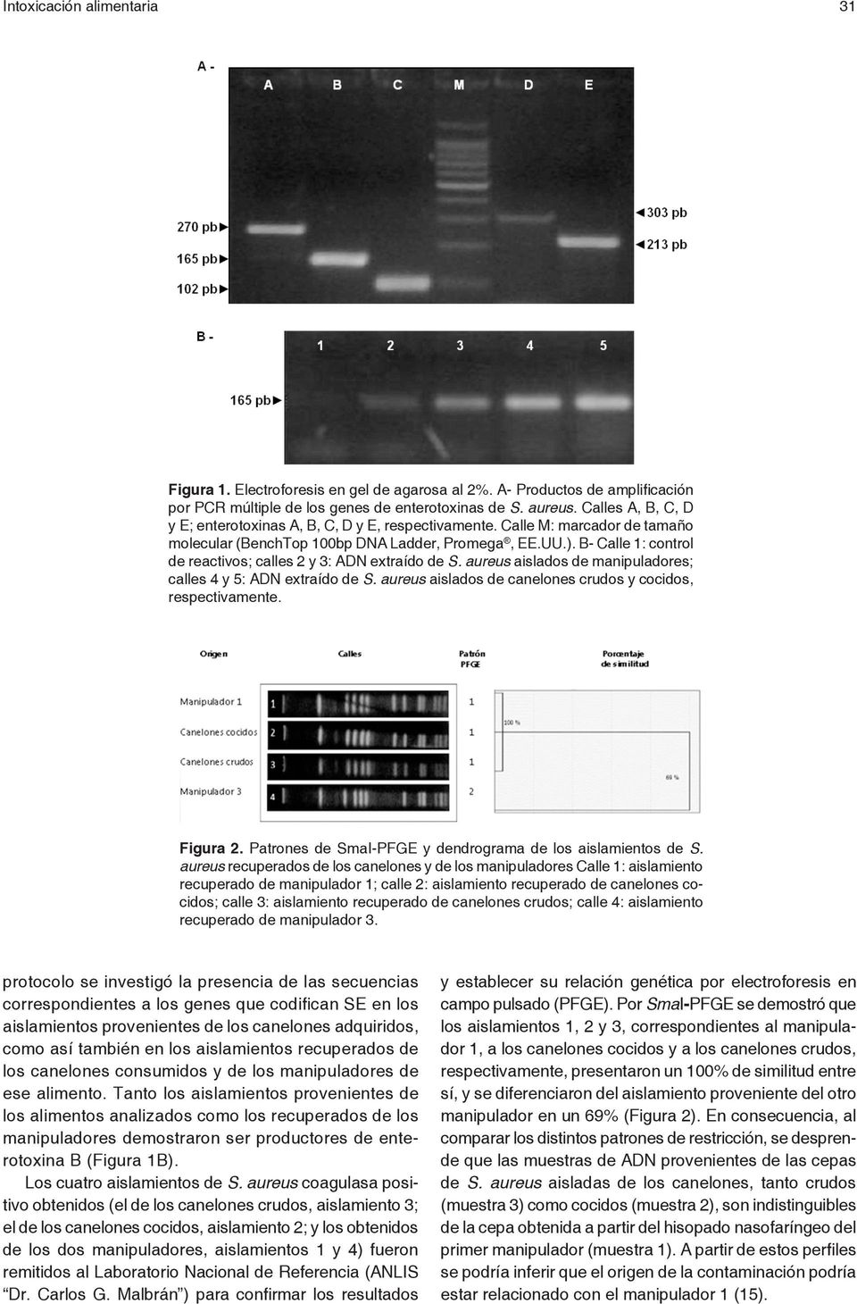 B- Calle 1: control de reactivos; calles 2 y 3: ADN extraído de S. aureus aislados de manipuladores; calles 4 y 5: ADN extraído de S. aureus aislados de canelones crudos y cocidos, respectivamente.