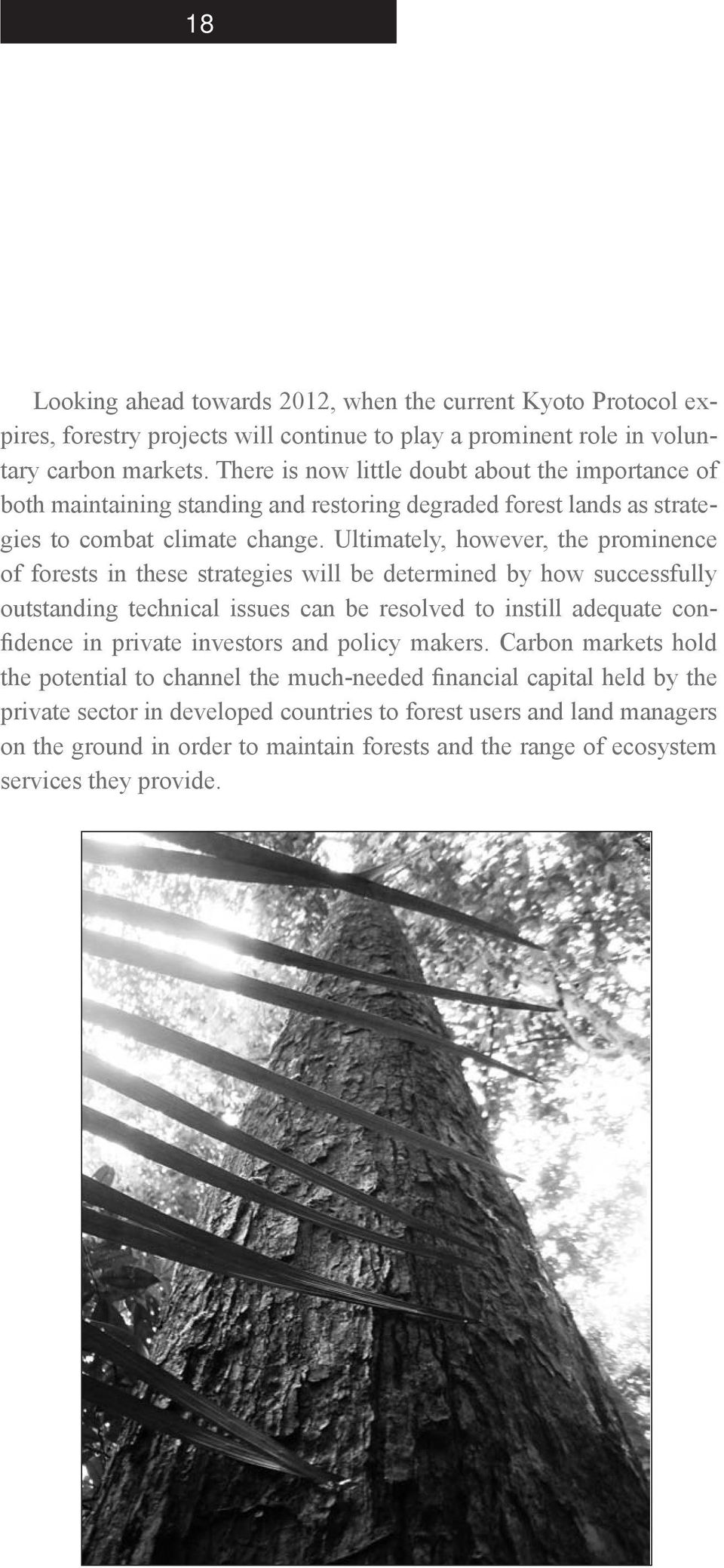 Ultimately, however, the prominence of forests in these strategies will be determined by how successfully outstanding technical issues can be resolved to instill adequate confidence in private