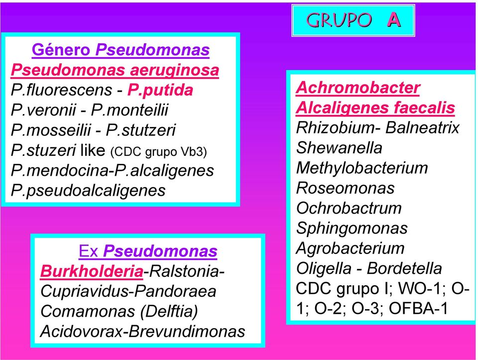 pseudoalcaligenes Ex Pseudomonas Burkholderia-Ralstonia- Cupriavidus-Pandoraea Comamonas (Delftia) Acidovorax-Brevundimonas