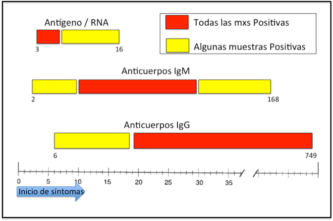 Detección por laboratorio Adaptado de: J Infect Dis. (1999) 179 (Supplement 1): S28-S35.