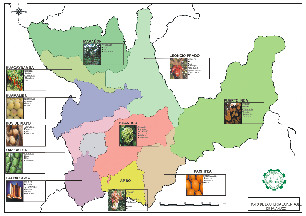REGION Gobierno Regional MAPA DE EXPORTACIONES