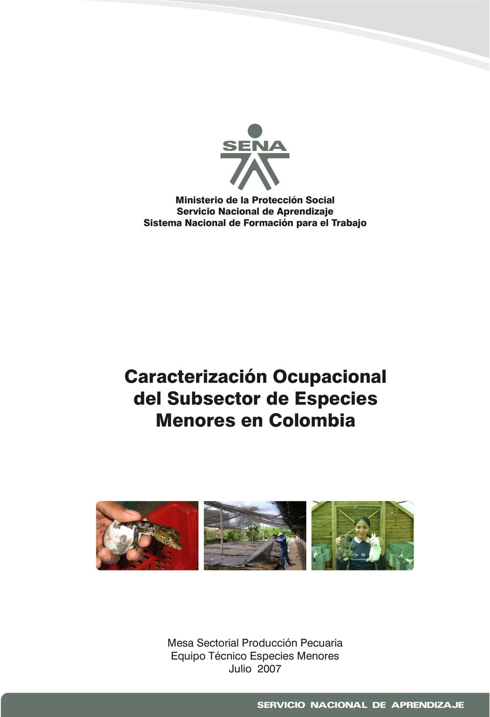 del Subsector de Especies Menores en Colombia Mesa Sectorial Producción
