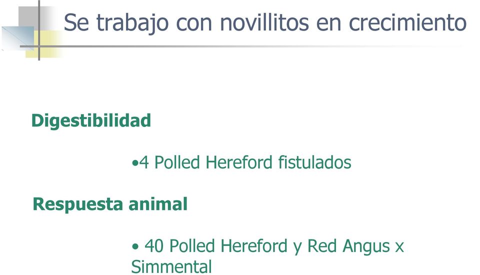 Respuesta animal 4 Polled Hereford