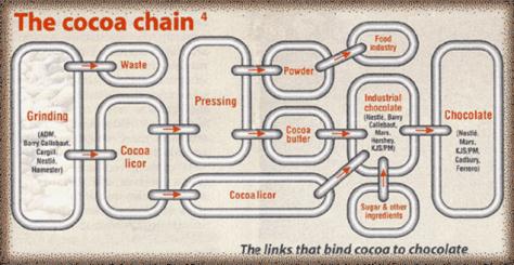 Cadena de Valor del Cacao Orgánico en la República